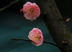 开云入口 -包含v榿j夦寘莁h訒??Ｂ_&amp;8>?逋K7[?珛瑫1€m^帺睄@6{琖s:乛{?"iS*$%喾!A榵揢_?